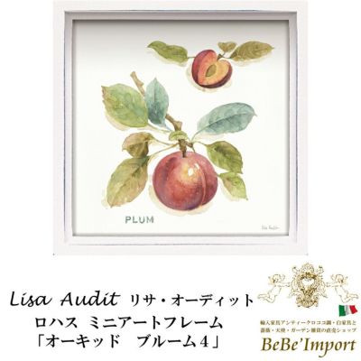 【メーカーYP取寄】ロハス ミニアートフレーム リサ・オーディット「オーキッド ブルーム４」【ロココ調 Rococo アンティーク調 ヨーロピアン クラシック 額絵 アート インテリア雑貨 果物 植物 エレガント デザイン