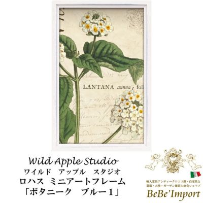 ロハス ミニアートフレーム ワイルド アップル スタジオ「ボタニーク ブルー１」