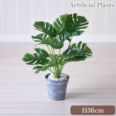 癒しのフェイクグリーン モンステラ Sサイズ 高さ36cm