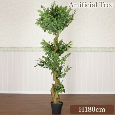 癒しのグリーン ベンジャミン 高さ72cm 人工観葉植物【送料無料】