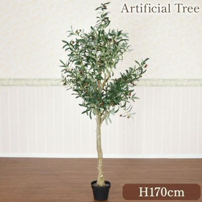 癒しのグリーン オリーブ 高さ170cm 人工観葉植物【送料無料】