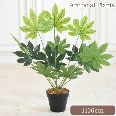 癒しのフェイクグリーン ヤツデ 高さ56cm [Y]