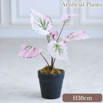 癒しのグリーン ベゴニア 人工観葉植物 高さ30cm ピンク