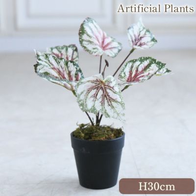 癒しのグリーン ベゴニア 人工観葉植物 高さ30cm S