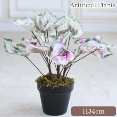 癒しのフェイクグリーン ベゴニア Lサイズ 高さ34cm