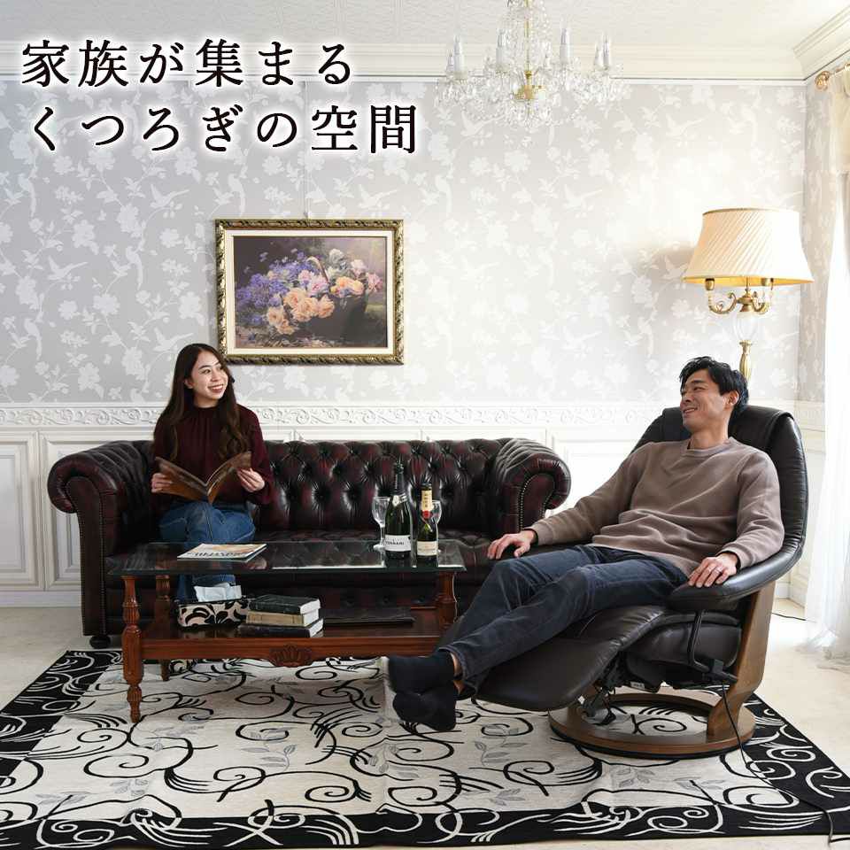 キンデルダイク パーソナルチェア 電動 本革ダークブラウン 画像11