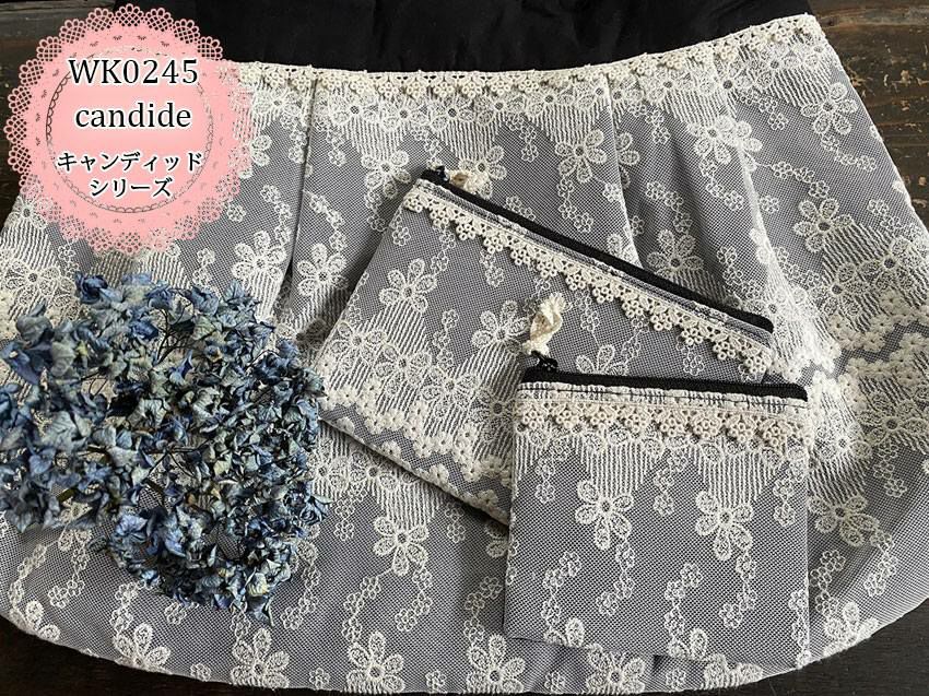 WK0425キャンディッドシリーズイメージ画像