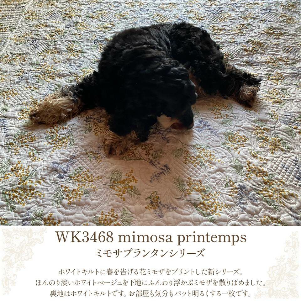 WK3468ミモサプランタンシリーズイメージ画像